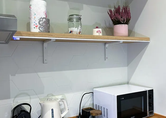 Loft 125 Passi Dal Colosseo Apartment *